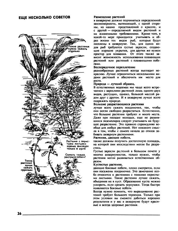 Ганс Фрей - Твой аквариум - Страница № 27