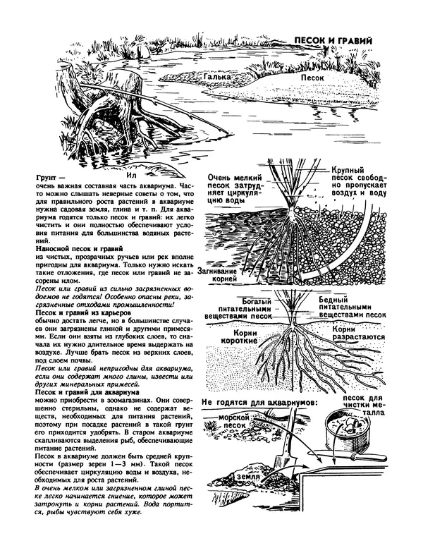 Ганс Фрей - Твой аквариум - Страница № 30