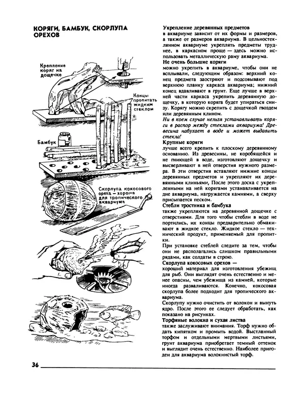 Ганс Фрей - Твой аквариум - Страница № 37