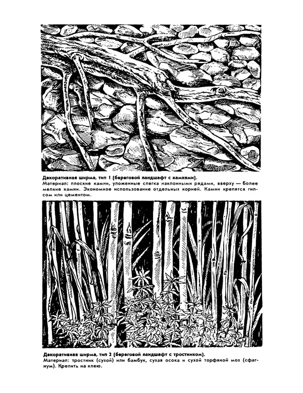 Ганс Фрей - Твой аквариум - Страница № 39