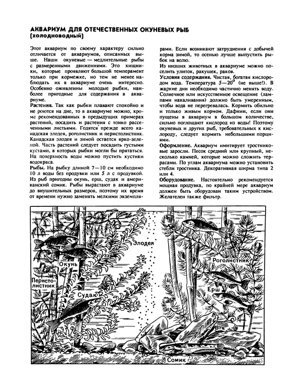 Ганс Фрей - Твой аквариум - Страница № 57