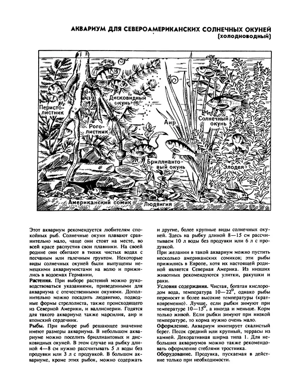 Ганс Фрей - Твой аквариум - Страница № 58