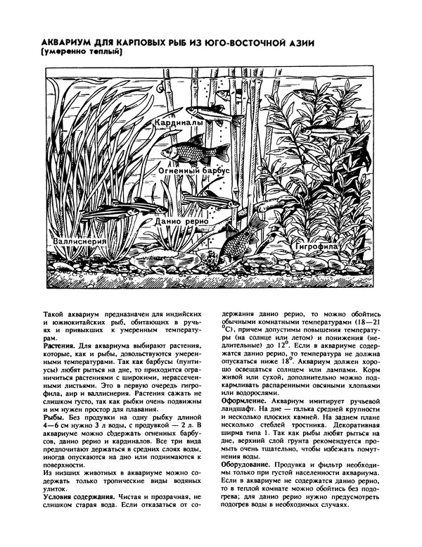 Ганс Фрей - Твой аквариум - Страница № 59