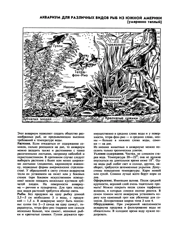 Ганс Фрей - Твой аквариум - Страница № 60