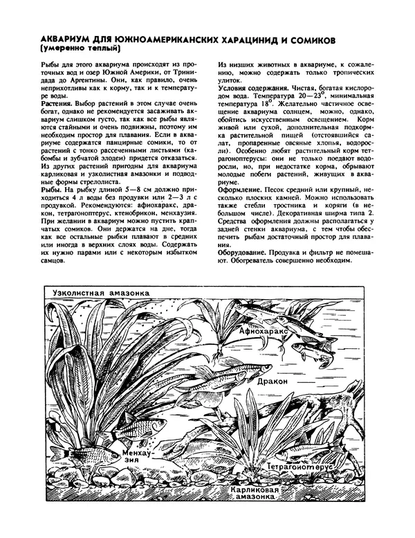 Ганс Фрей - Твой аквариум - Страница № 61