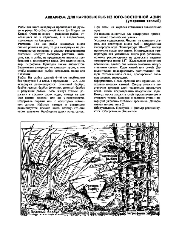 Ганс Фрей - Твой аквариум - Страница № 62