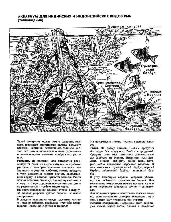 Ганс Фрей - Твой аквариум - Страница № 69