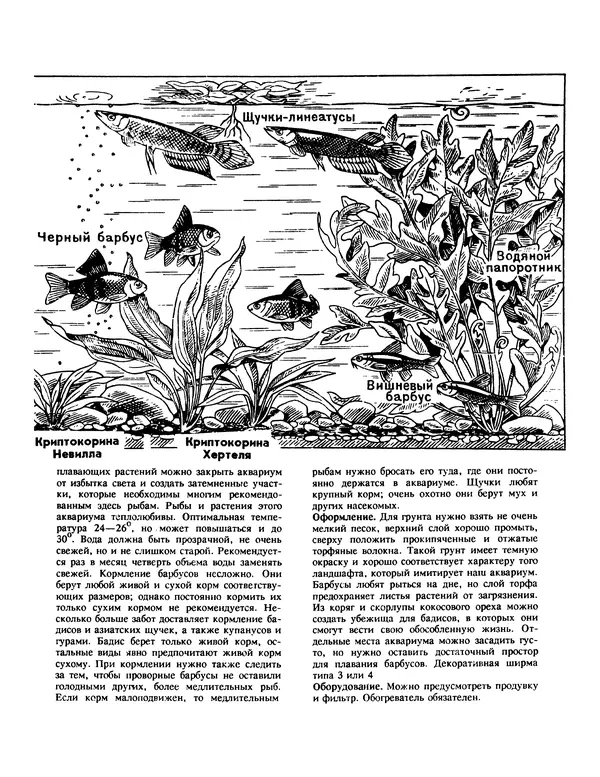 Ганс Фрей - Твой аквариум - Страница № 70