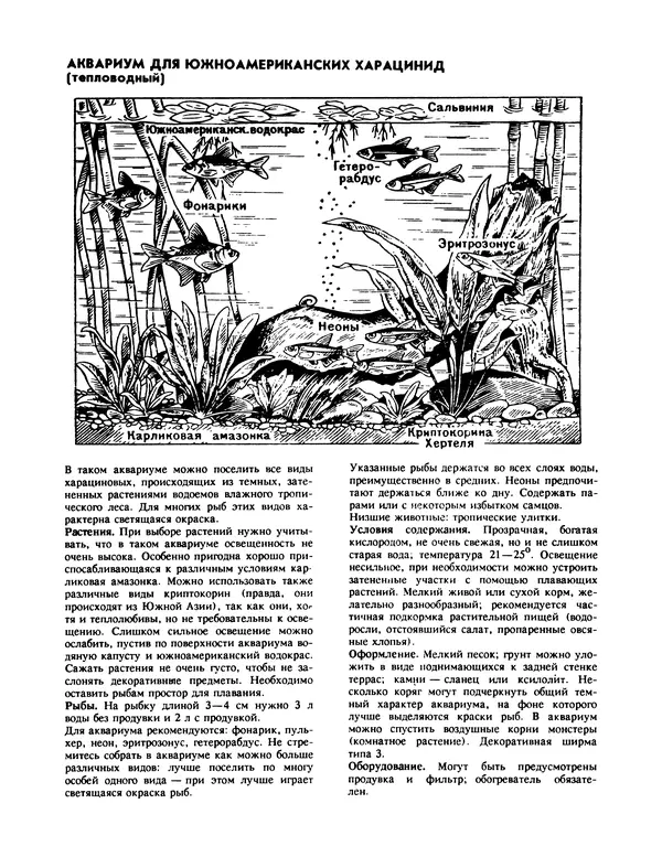 Ганс Фрей - Твой аквариум - Страница № 71