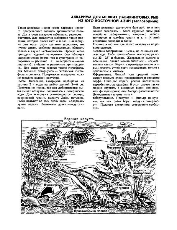 Ганс Фрей - Твой аквариум - Страница № 72