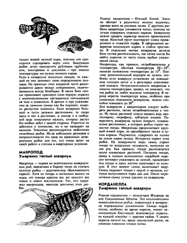 Ганс Фрей - Твой аквариум - Страница № 78