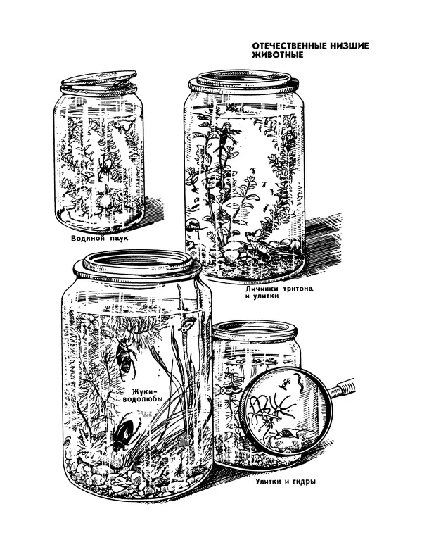 Ганс Фрей - Твой аквариум - Страница № 94