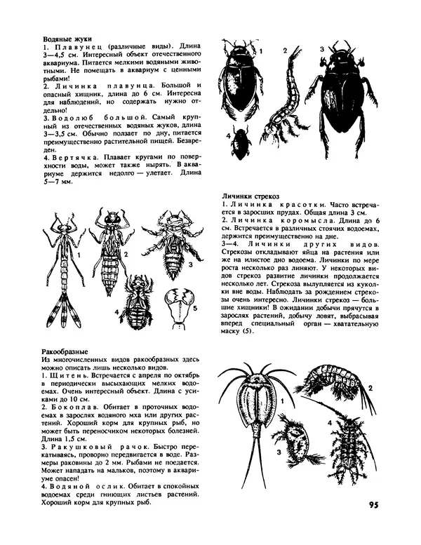 Ганс Фрей - Твой аквариум - Страница № 96