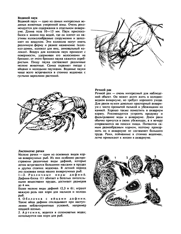 Ганс Фрей - Твой аквариум - Страница № 99