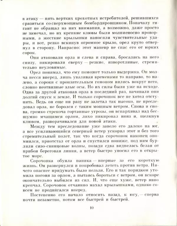 Колин Тиле - Остров одинокой сороки. Штормик и мистер Персиваль - Страница № 12