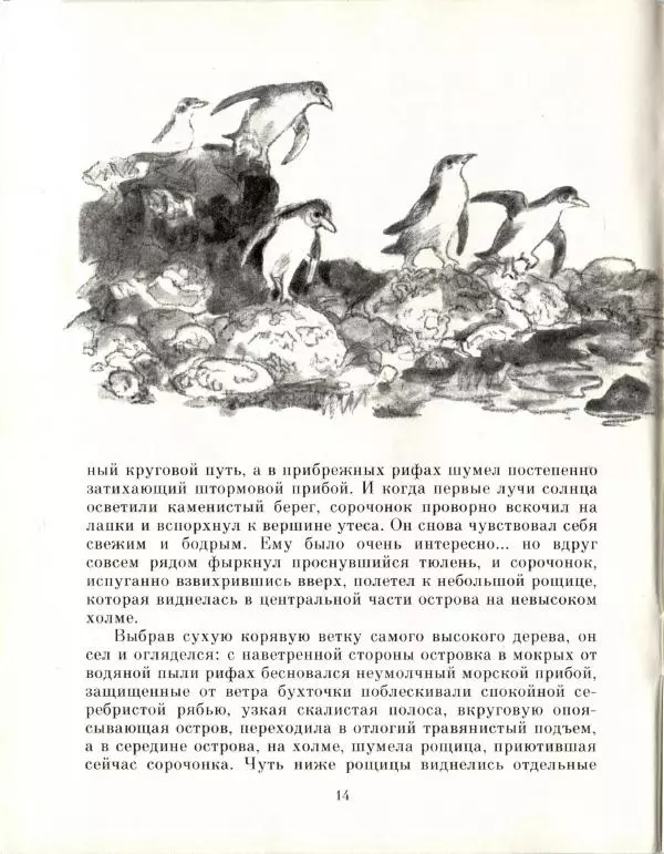 Колин Тиле - Остров одинокой сороки. Штормик и мистер Персиваль - Страница № 16