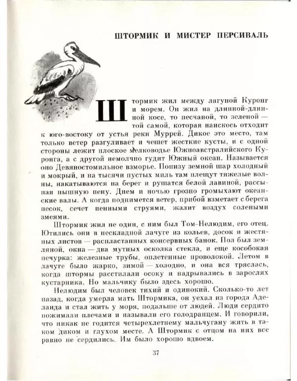 Колин Тиле - Остров одинокой сороки. Штормик и мистер Персиваль - Страница № 39