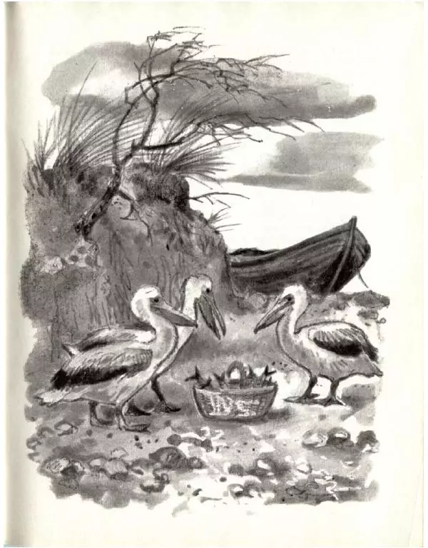 Колин Тиле - Остров одинокой сороки. Штормик и мистер Персиваль - Страница № 49