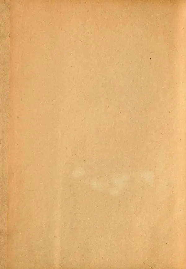 Н. Неверович - "Какъ же строиться деревне?..." Очерк по сельскому огнестойкому строительству - Страница № 4