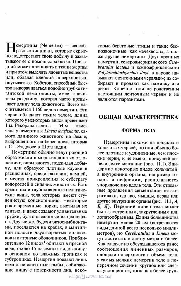 Эдвард Руперт -  Зоология беспозвоночных. В 4-х томах. Том 2. Низшие целомические животные - Страница № 9