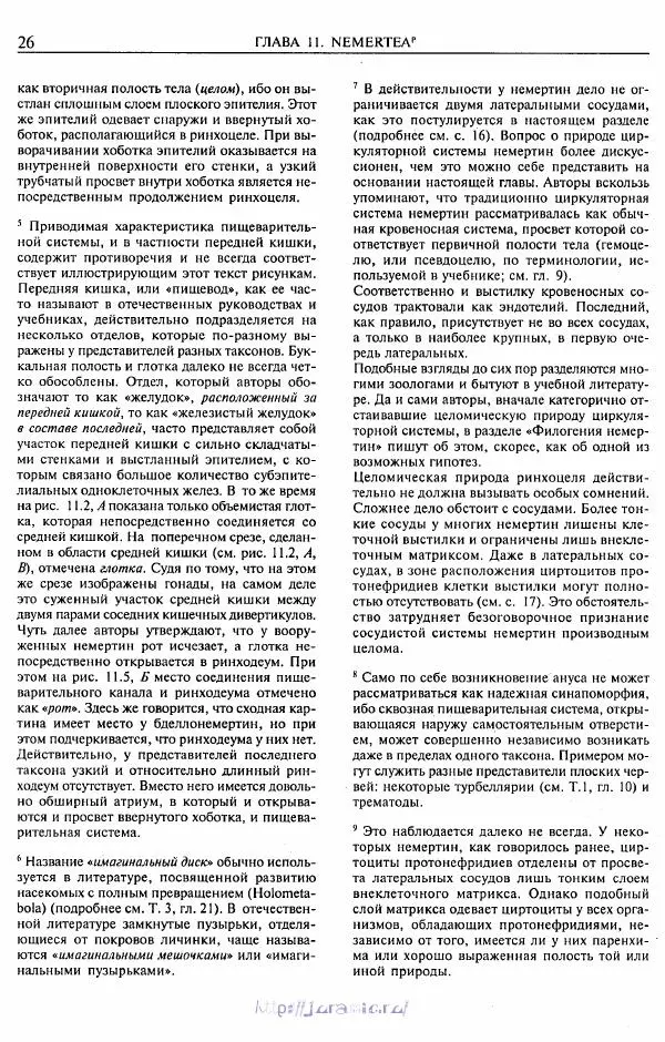 Эдвард Руперт -  Зоология беспозвоночных. В 4-х томах. Том 2. Низшие целомические животные - Страница № 27