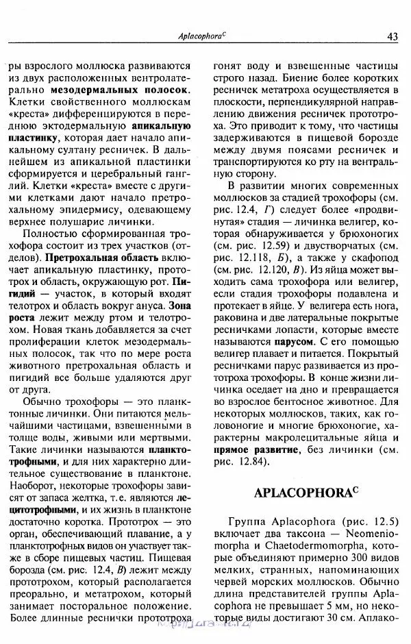 Эдвард Руперт -  Зоология беспозвоночных. В 4-х томах. Том 2. Низшие целомические животные - Страница № 44