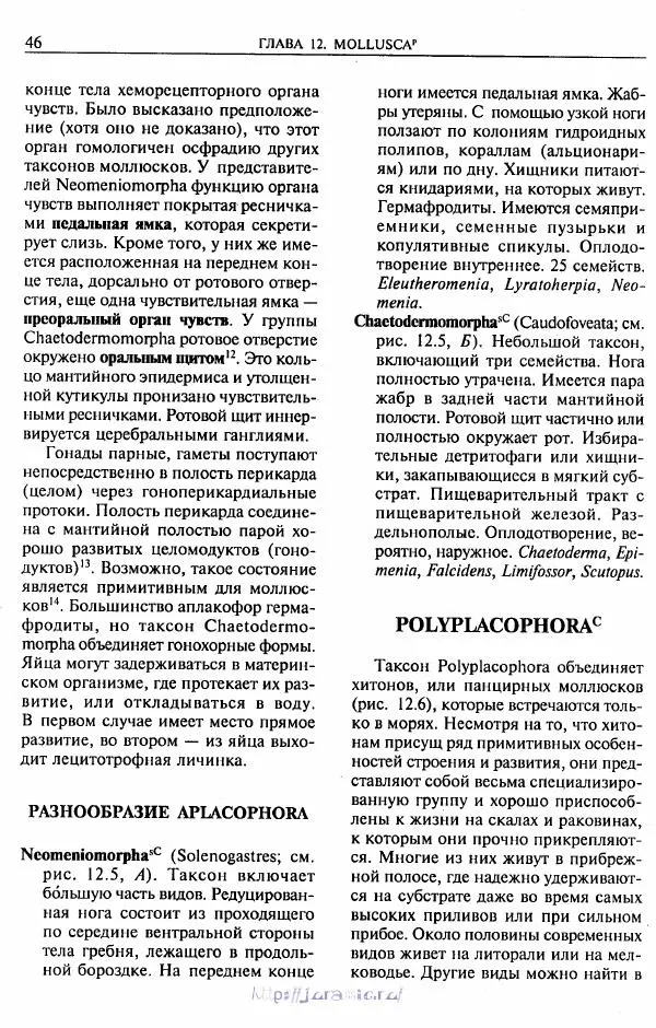 Эдвард Руперт -  Зоология беспозвоночных. В 4-х томах. Том 2. Низшие целомические животные - Страница № 47