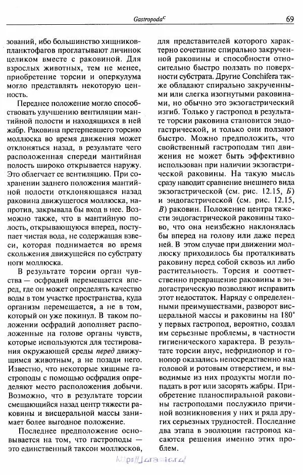 Эдвард Руперт -  Зоология беспозвоночных. В 4-х томах. Том 2. Низшие целомические животные - Страница № 70