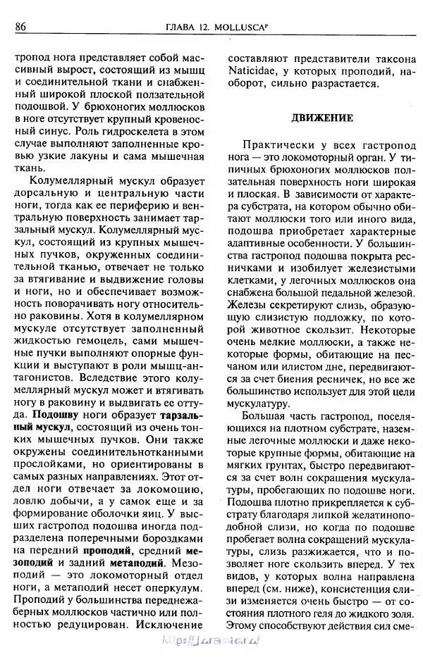 Эдвард Руперт -  Зоология беспозвоночных. В 4-х томах. Том 2. Низшие целомические животные - Страница № 87
