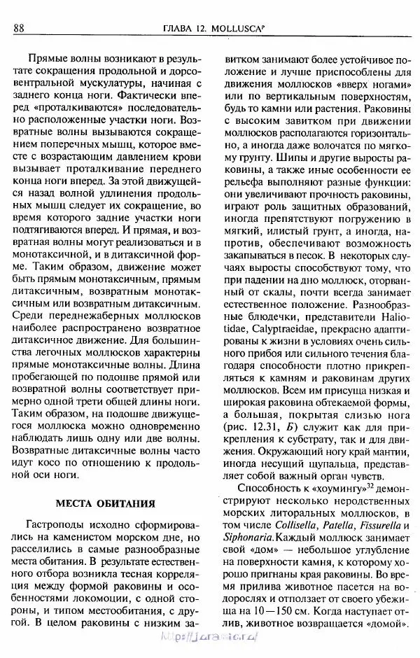 Эдвард Руперт -  Зоология беспозвоночных. В 4-х томах. Том 2. Низшие целомические животные - Страница № 89