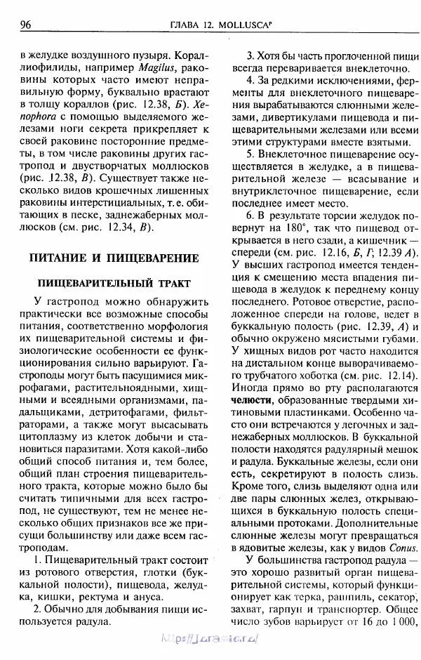 Эдвард Руперт -  Зоология беспозвоночных. В 4-х томах. Том 2. Низшие целомические животные - Страница № 97
