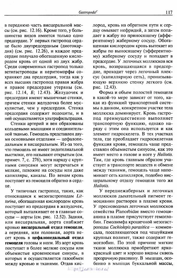 Эдвард Руперт -  Зоология беспозвоночных. В 4-х томах. Том 2. Низшие целомические животные - Страница № 118