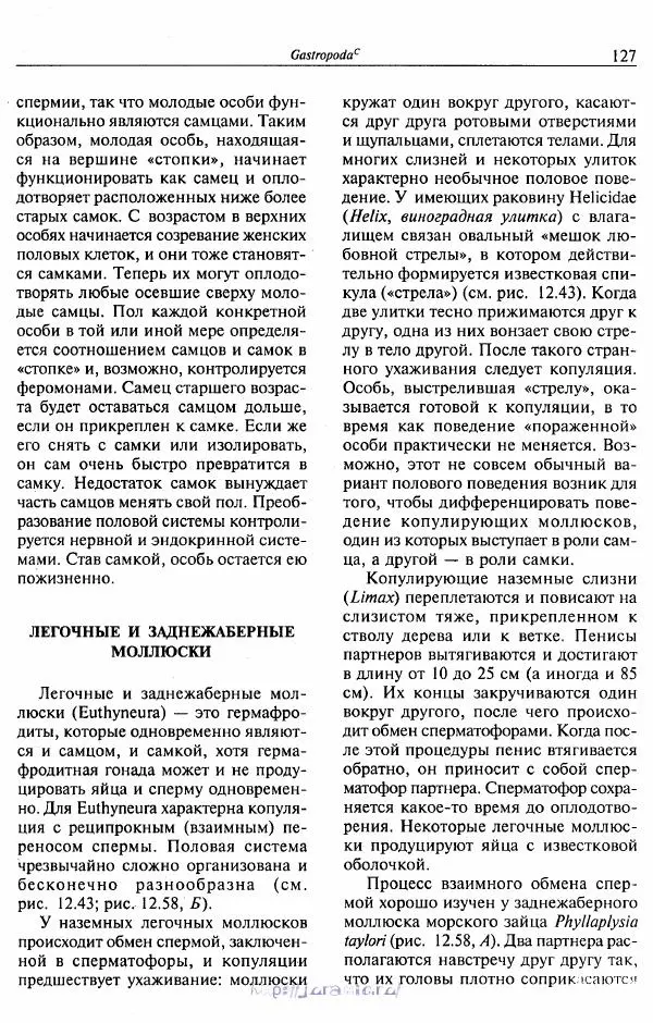 Эдвард Руперт -  Зоология беспозвоночных. В 4-х томах. Том 2. Низшие целомические животные - Страница № 128