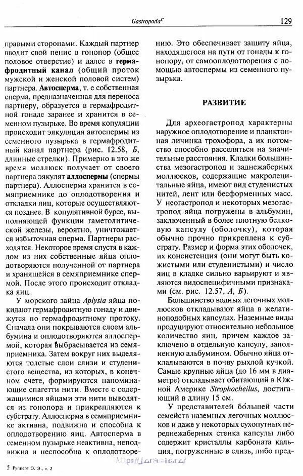 Эдвард Руперт -  Зоология беспозвоночных. В 4-х томах. Том 2. Низшие целомические животные - Страница № 130