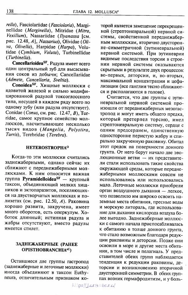 Эдвард Руперт -  Зоология беспозвоночных. В 4-х томах. Том 2. Низшие целомические животные - Страница № 139