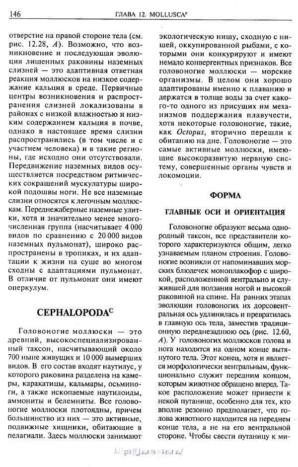 Эдвард Руперт -  Зоология беспозвоночных. В 4-х томах. Том 2. Низшие целомические животные - Страница № 147