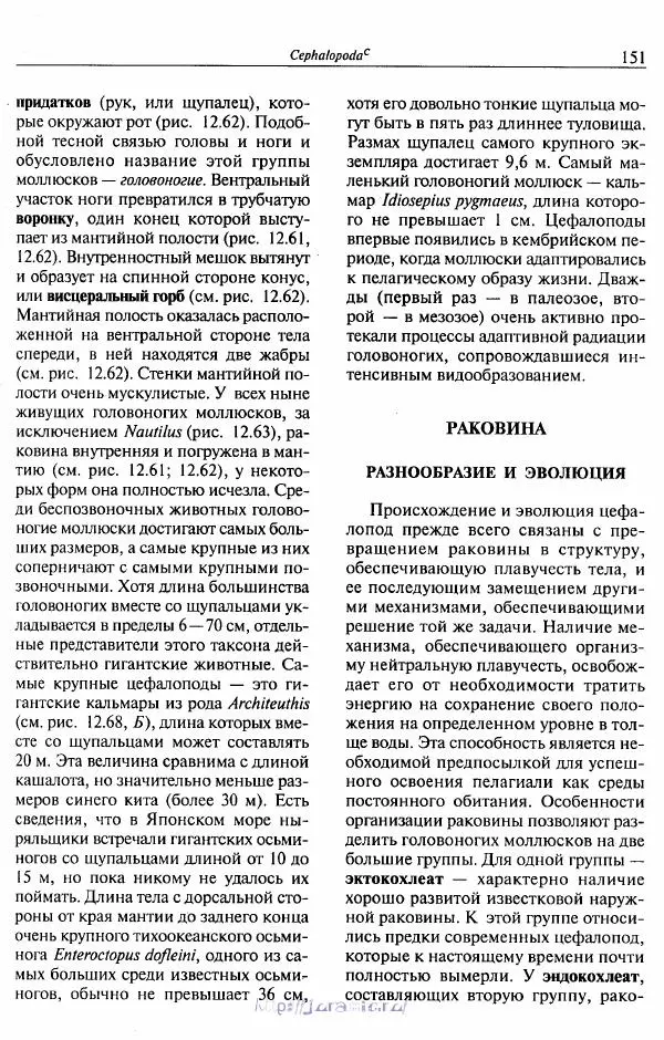 Эдвард Руперт -  Зоология беспозвоночных. В 4-х томах. Том 2. Низшие целомические животные - Страница № 152