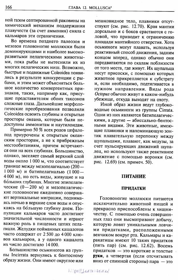 Эдвард Руперт -  Зоология беспозвоночных. В 4-х томах. Том 2. Низшие целомические животные - Страница № 167