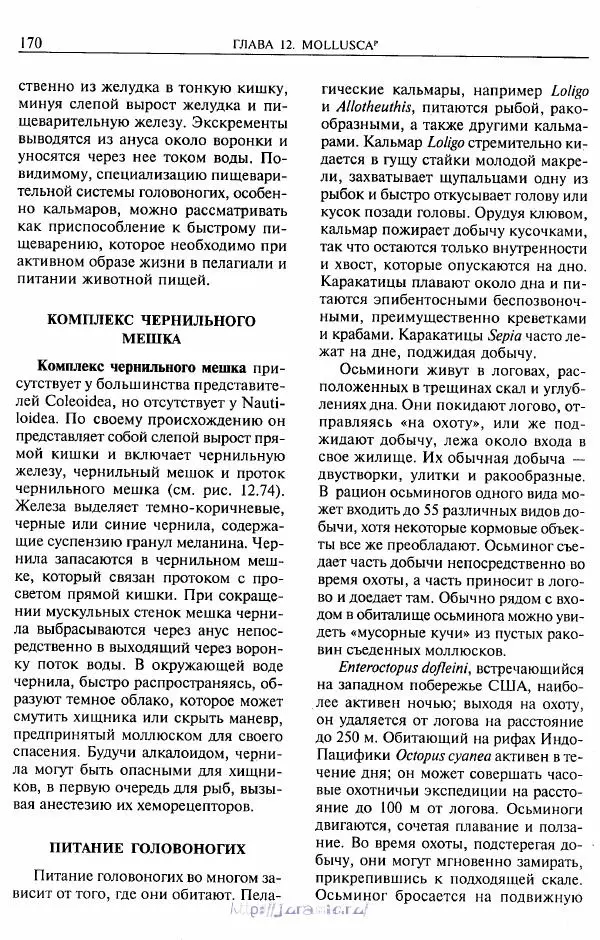 Эдвард Руперт -  Зоология беспозвоночных. В 4-х томах. Том 2. Низшие целомические животные - Страница № 171