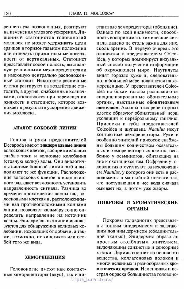 Эдвард Руперт -  Зоология беспозвоночных. В 4-х томах. Том 2. Низшие целомические животные - Страница № 181