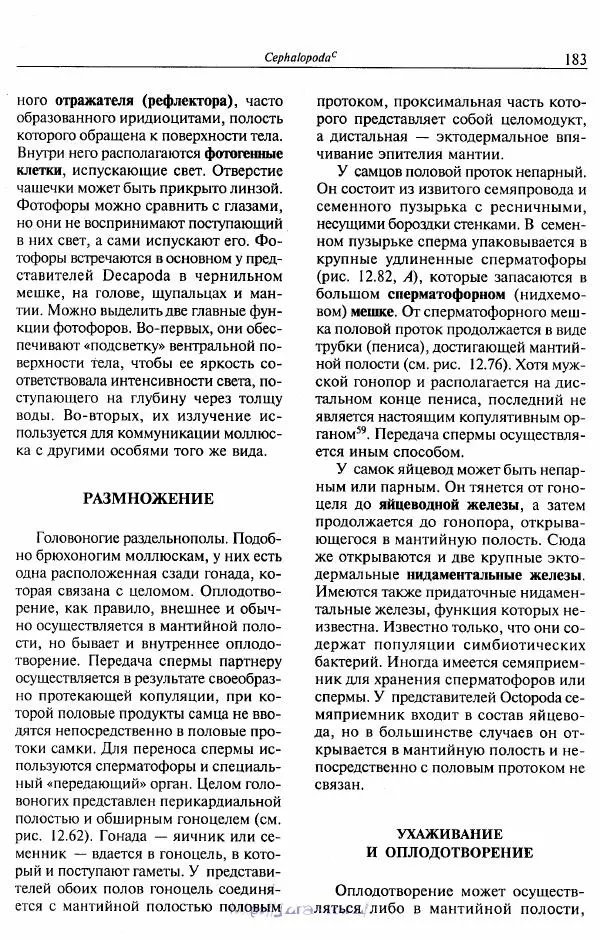 Эдвард Руперт -  Зоология беспозвоночных. В 4-х томах. Том 2. Низшие целомические животные - Страница № 184