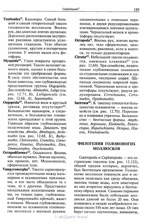 Эдвард Руперт -  Зоология беспозвоночных. В 4-х томах. Том 2. Низшие целомические животные - Страница № 190