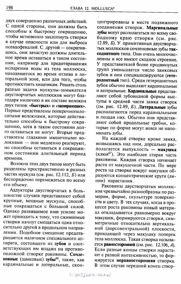Эдвард Руперт -  Зоология беспозвоночных. В 4-х томах. Том 2. Низшие целомические животные - Страница № 199