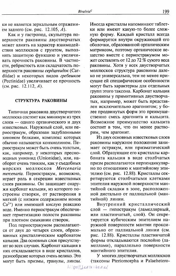 Эдвард Руперт -  Зоология беспозвоночных. В 4-х томах. Том 2. Низшие целомические животные - Страница № 200