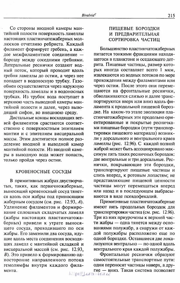 Эдвард Руперт -  Зоология беспозвоночных. В 4-х томах. Том 2. Низшие целомические животные - Страница № 216