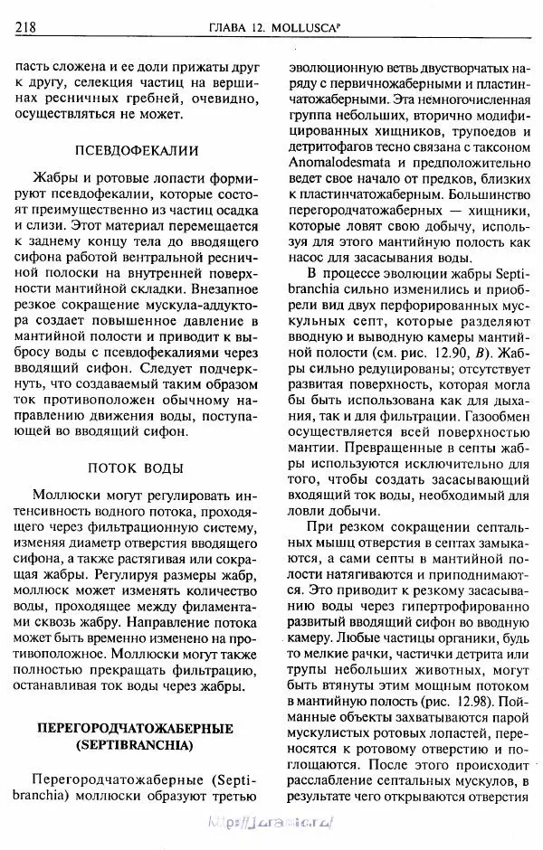 Эдвард Руперт -  Зоология беспозвоночных. В 4-х томах. Том 2. Низшие целомические животные - Страница № 219