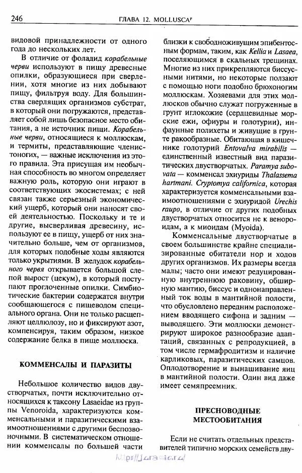 Эдвард Руперт -  Зоология беспозвоночных. В 4-х томах. Том 2. Низшие целомические животные - Страница № 247