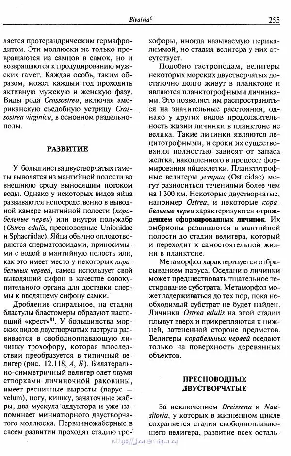 Эдвард Руперт -  Зоология беспозвоночных. В 4-х томах. Том 2. Низшие целомические животные - Страница № 256