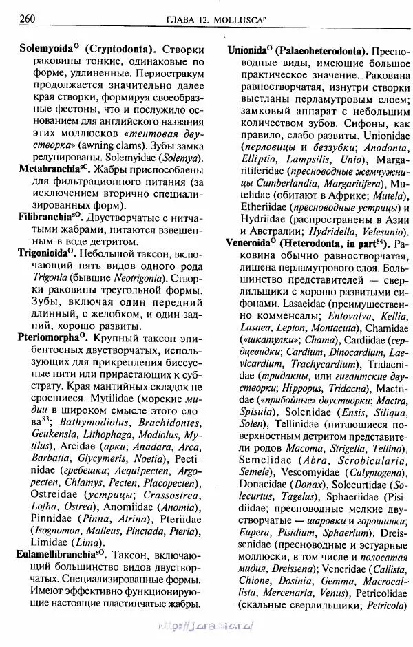 Эдвард Руперт -  Зоология беспозвоночных. В 4-х томах. Том 2. Низшие целомические животные - Страница № 261