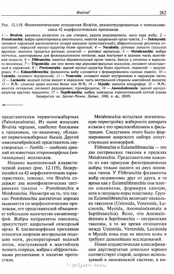 Эдвард Руперт -  Зоология беспозвоночных. В 4-х томах. Том 2. Низшие целомические животные - Страница № 264